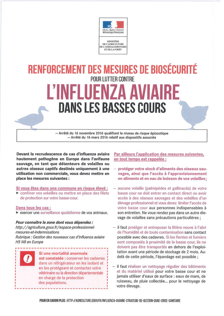 influenza-aviaire