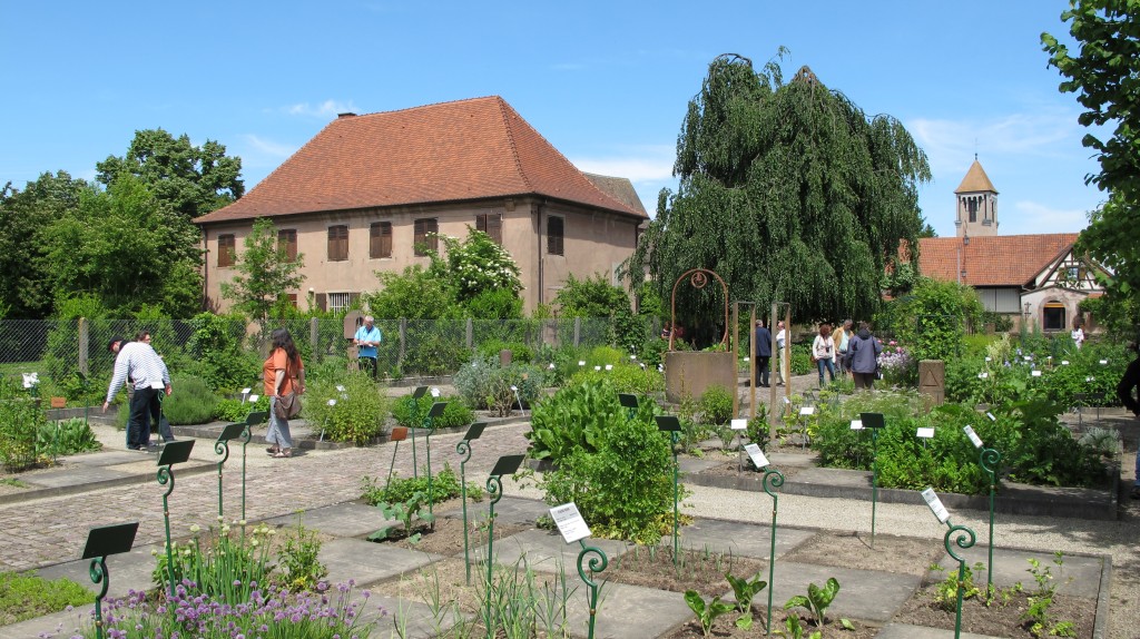 Jardin monastique IMG_0107